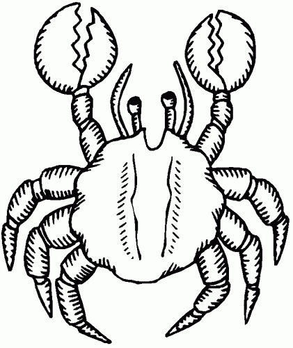 desene de colorat - crab 1