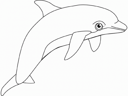 desene de colorat - delfin 2