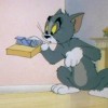 Tom si Jerry. Cine sapa groapa altuia