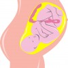 Placenta: cum se dezvolta si care este rolul ei?
