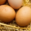 In ce masura ouale sunt alimente sanatoase?