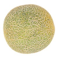 cantalup