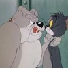Tom si Jerry, probleme cu cainele