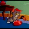 Tom dadaca si bebelusul soricel, protejatul lui Jerry