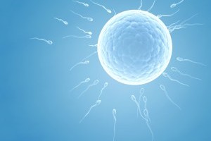 Particularitati fiv cu spermatozoizi obtinuti prin prelevare chirurgicala