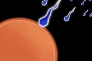 Cryoprezervarea fertilitatii