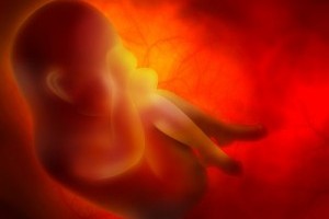 Cum se deruleaza procesul de hranire in uterul mamei