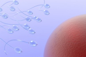 5 motive sa iti monitorizezi ovulatia