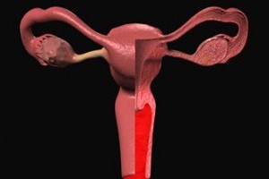 Schimbarile fizice care au loc in timpul ovulatiei