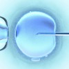 Fertilizarea in vitro si primele semne de sarcina